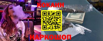 спайс Кингисепп
