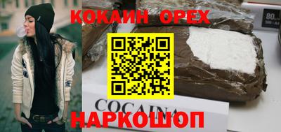 спайс Кингисепп