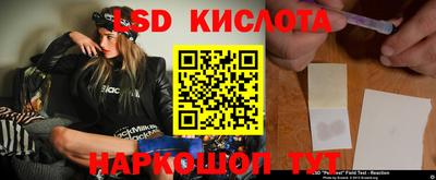 спайс Кингисепп
