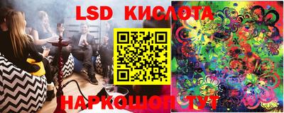 прущие грибы Кимры