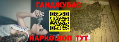 спайс Кингисепп