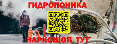 спайс Кингисепп