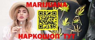 спайс Кингисепп