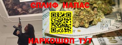 спайс Кингисепп