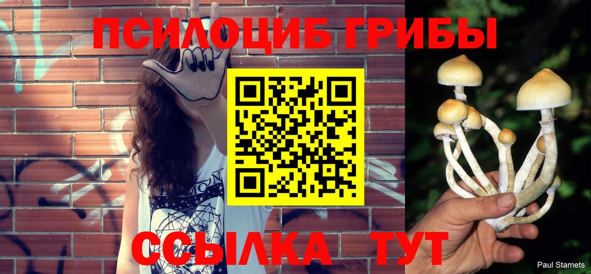 Волжск  Галлюциногенные грибы MAGIC MUSHROOMS  Вход с VPN  Псилоцибиновые грибы MAGIC MUSHROOMS 